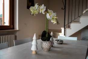 Relais Terre Divine 2 - Image 3