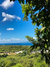 Private forest ocean view-Casita Escondida - Image 5