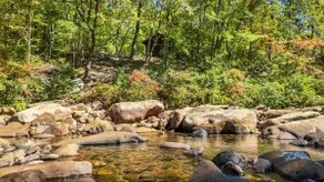 North Chickamauga Creekside Retreat · 3BR Escape! - Image 5