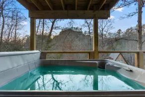 The Hummingbird - Mountaintop Cabin w/ Hot Tub - Image 3