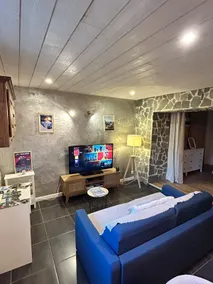 Chalet des Brasses - Skiing, projection and terrace - Image 4