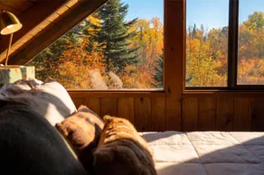 Huckleberry House | Family Cabin in the Cascades! - Image 3