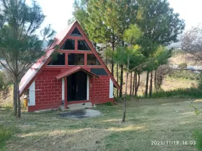 Los Pinos cabin - Image 3