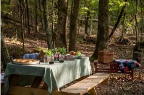 Heritage Log Cabin Turkey Path Ranch on 325 acres - Image 4