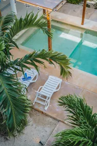 Villa Chanos, an oasis a few steps from the sea - Image 3