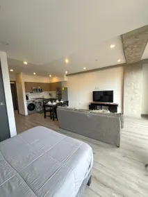 Downtown Connect Loft+Gym+Wifi - Image 3