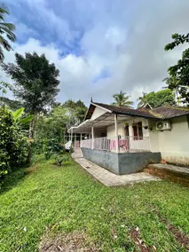 Avocado Orchards - Home Stay - Image 2