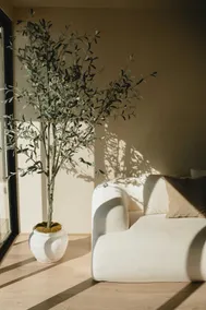Kasa Dharma an oceanfront House - Image 4