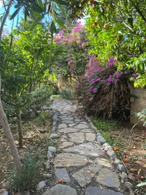Badem - Image 4