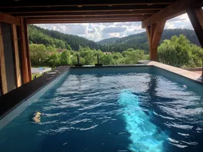 Chalet Belombre - 12 pers - Spa - Sauna - Image 3