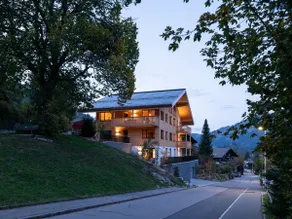 Newly built chalet with modern kitchen and panoramic views - Image 5