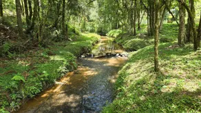 Chácara Caminho do Paraíso - Image 4