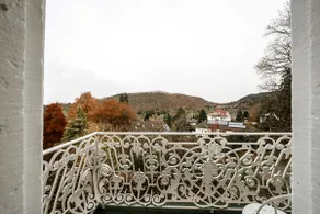 Black Forest 1 Min Therme ·MaxLaeuger Villa Hedwig - Image 5