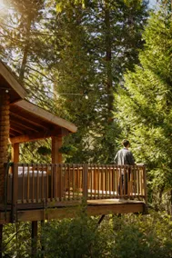 Very Private, Modern Log Cabin w/Hot tub - Image 4