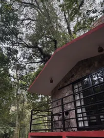 Villa Capraria (Magnolia) - Image 2