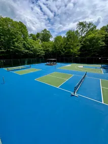 Luxury Home with Pickleball and Basketball Courts! - Image 5