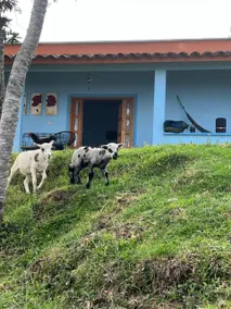 Country House in Xico - Image 2