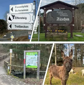 Family-friendly location with excellent sleeping comfort and pure nature - Image 2