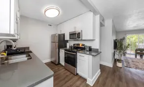 Stylish 2BR in Tampa with Gym, Laundry & Pool - Image 5