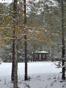 Black Creek Cabin - Image 2
