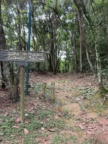Quati Suite - Image 2