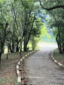 Quati Suite - Image 4