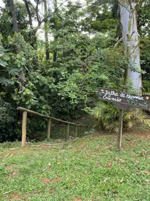 Quati Suite - Image 5
