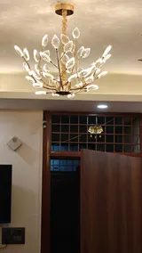 NestingParadise LUXE by Payal Ghosh-2bhk - Image 4