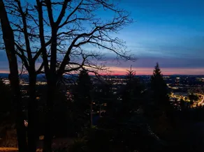 Hillside Live & Work | Modern 1BR with View - Image 5