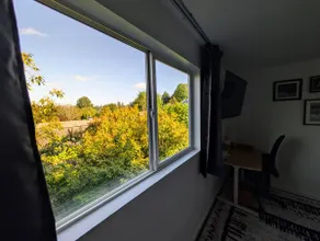 Serene North Seattle Home | Walk to Light Rail - Image 5