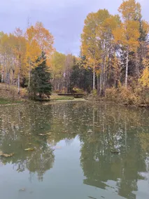The Trapper’s Cabin - Image 4