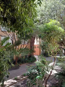 Welcome to ”Off Script”, our offbeat abode! - Image 4