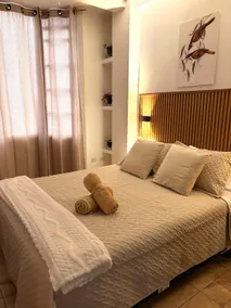 Comfortable apartment in the heart of Puyo + Garage - Image 2