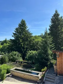 Gîte le Frêne - Image 4