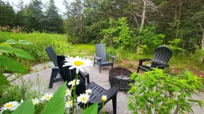 Modern Forest Cottage - Peace & Detox Retreat - Image 5