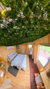Quiet Cabin | Nature Views & Silence | The haven - Image 2