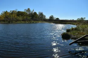 Private Off- Grid Cabin on 100 Acres With Pond - Image 5