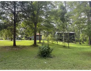The Pines Retreat - Rustic Modern Camp with Wifi - Image 4