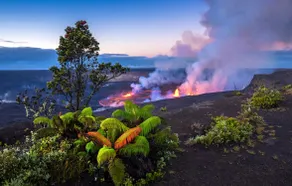 The Lehua LayLow - Image 4