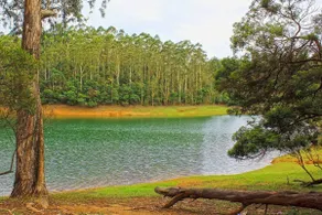 Ooty Valley View Luxury Villa - Image 3
