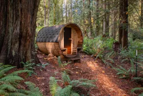 Gus's Log Cabin - Forest Haven with Sauna - Image 4