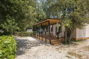 Deluxe Camping Home - Image 2