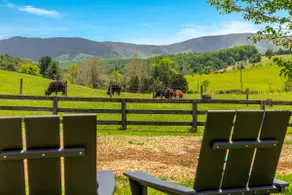 13 Min to Shenandoah NP | Hot Tub + Mountain Views - Image 4