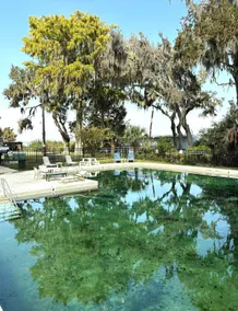 Eden Escape Suite, Lake Harris, Florida - Image 3