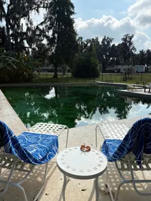 Eden Escape Suite, Lake Harris, Florida - Image 4