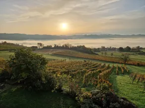 Holiday Home Vinea View – Bizeljsko Wine Hills - Image 5