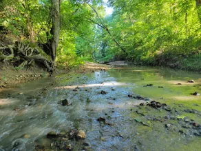 Shepherd Homestead on 20+ Acres - Image 4