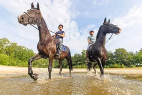 Peace & nature - Horse view - AIRCO - 6 people - Image 4