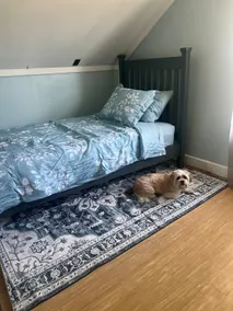 5 Bedroom Private home off Day Rd. Pet friendly. - Image 4
