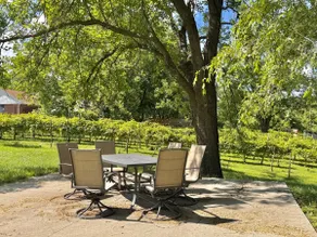 Mulberry House at Sugar Hollow - Image 4
